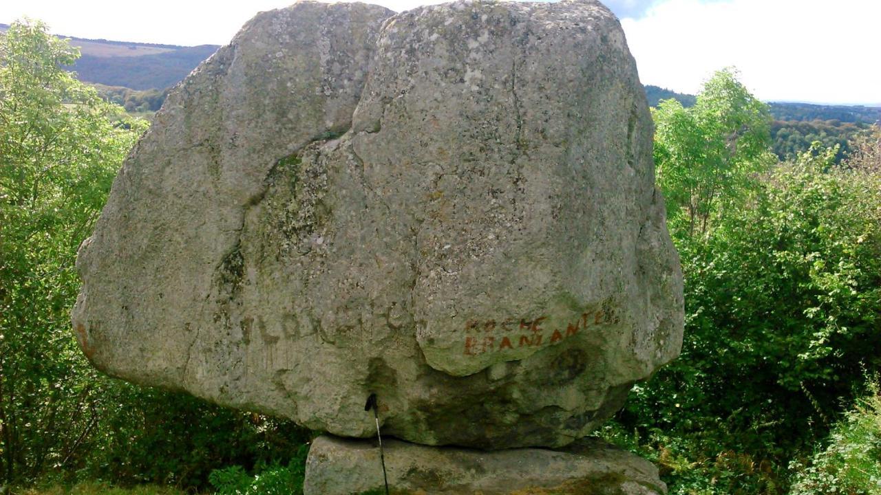 Coquelicot, Entre Volcans D Auvergne Et Sancy, Orcival. Ngoại thất bức ảnh